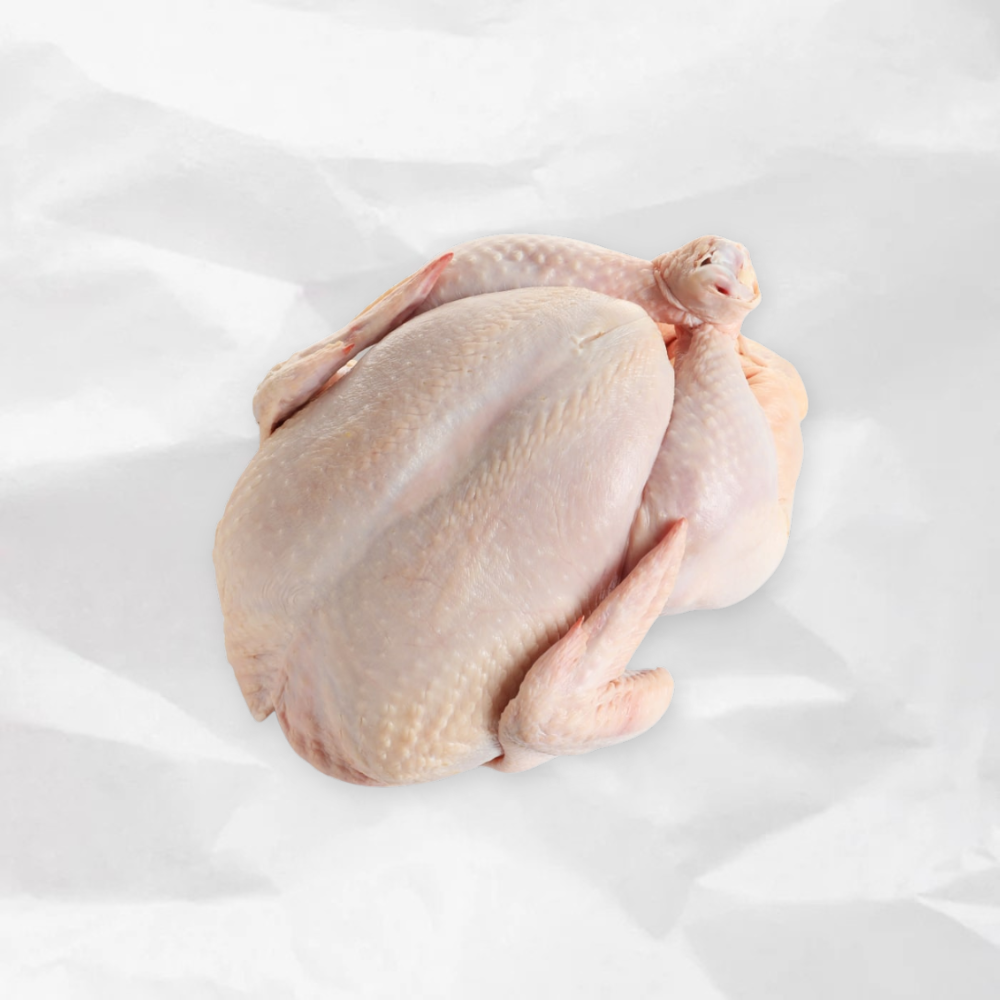 Zabiha Halal Turkey Pre-Order – 12–16 lb Hand-Slaughtered Turkey