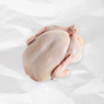 Zabiha Halal Turkey Pre-Order – 12–16 lb Hand-Slaughtered Turkey
