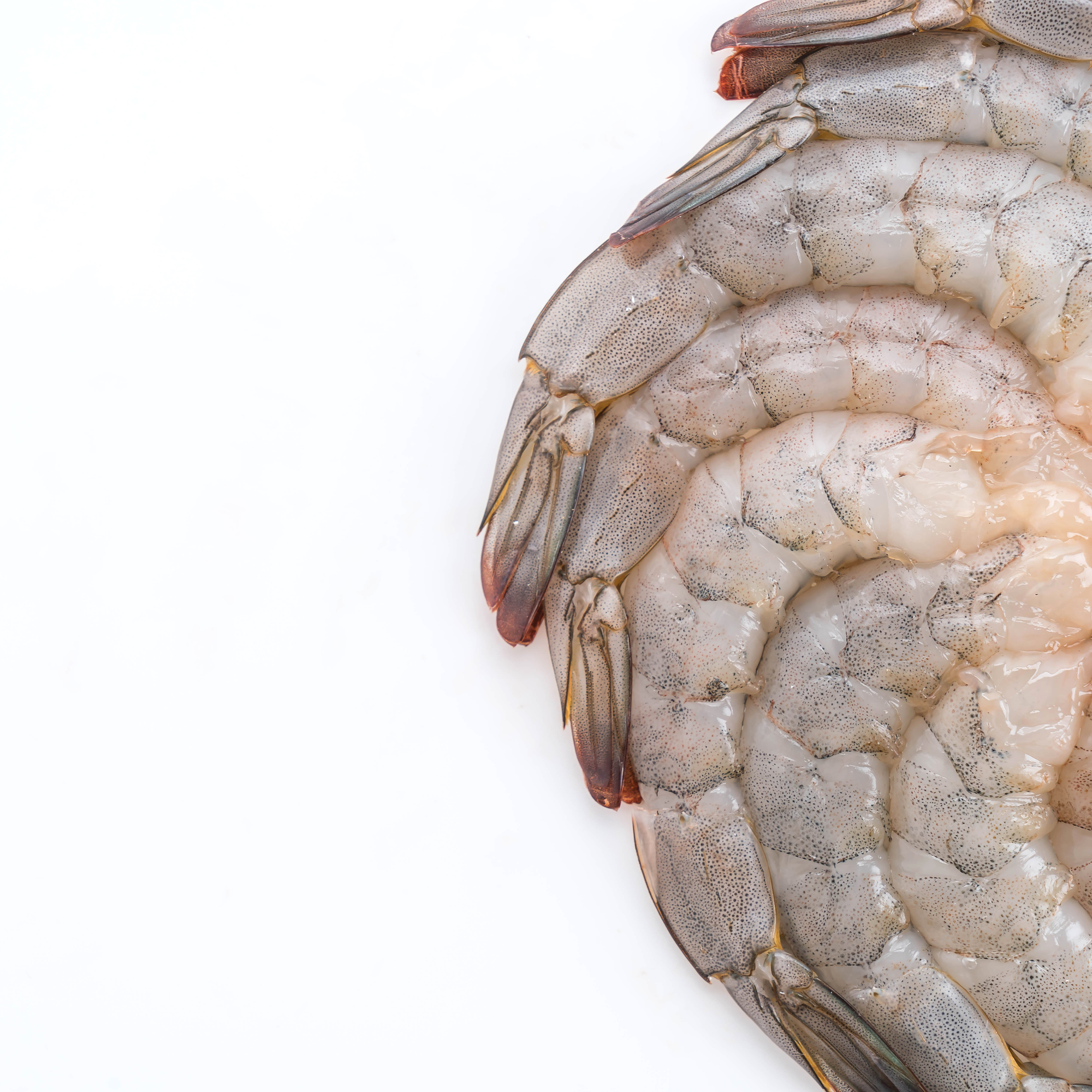 Premium Raw White Shrimp